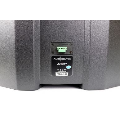 Профессиональный сабвуфер Audiocenter Artist TW8